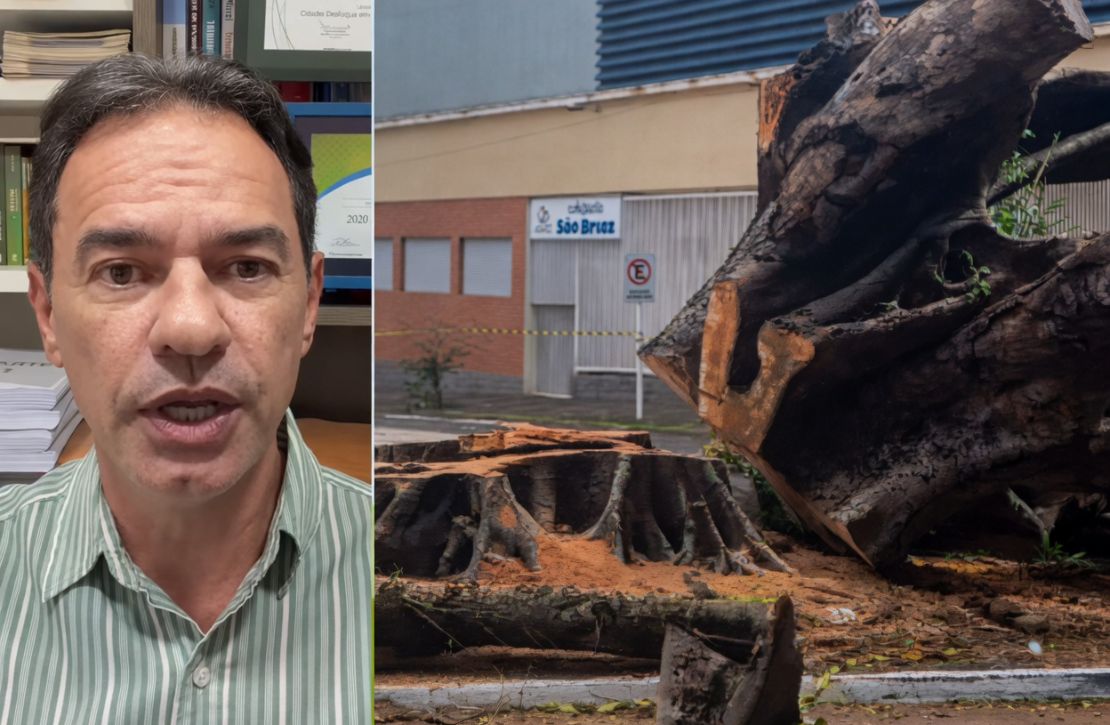 Marquinhos Trad critica derrubada de árvores e relembra políticas ambientais de sua gestão em Campo Grande