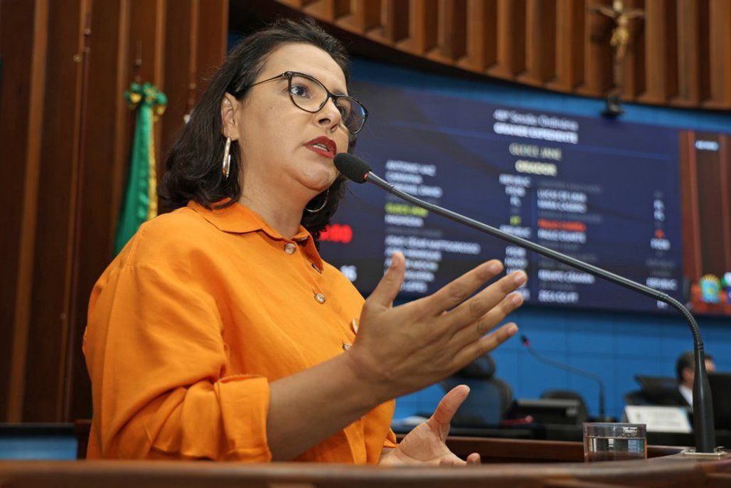 Deputada cobra informações sobre medidas de preservação do Pantanal e impactos às comunidades