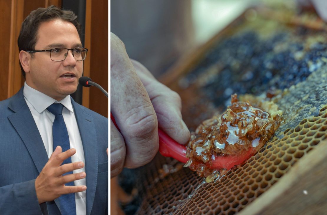Deputado Pedrossian Neto propõe prioridade para mel da agricultura familiar na merenda escolar estadual