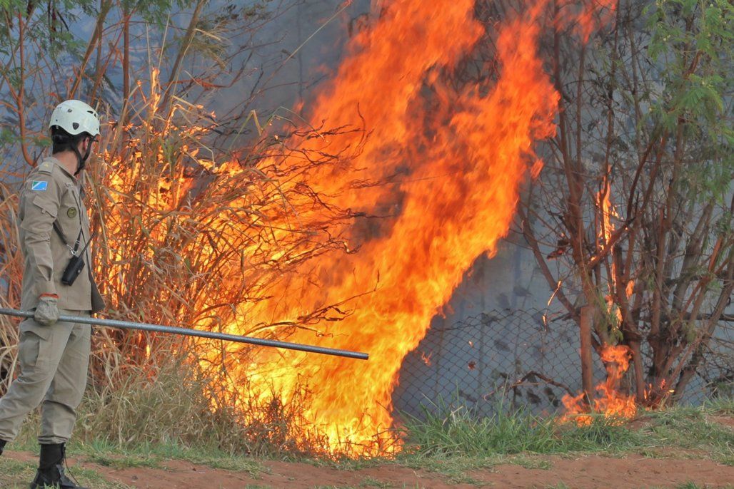 Fumaça que sufoca: MS registra quase seis queimadas urbanas por dia