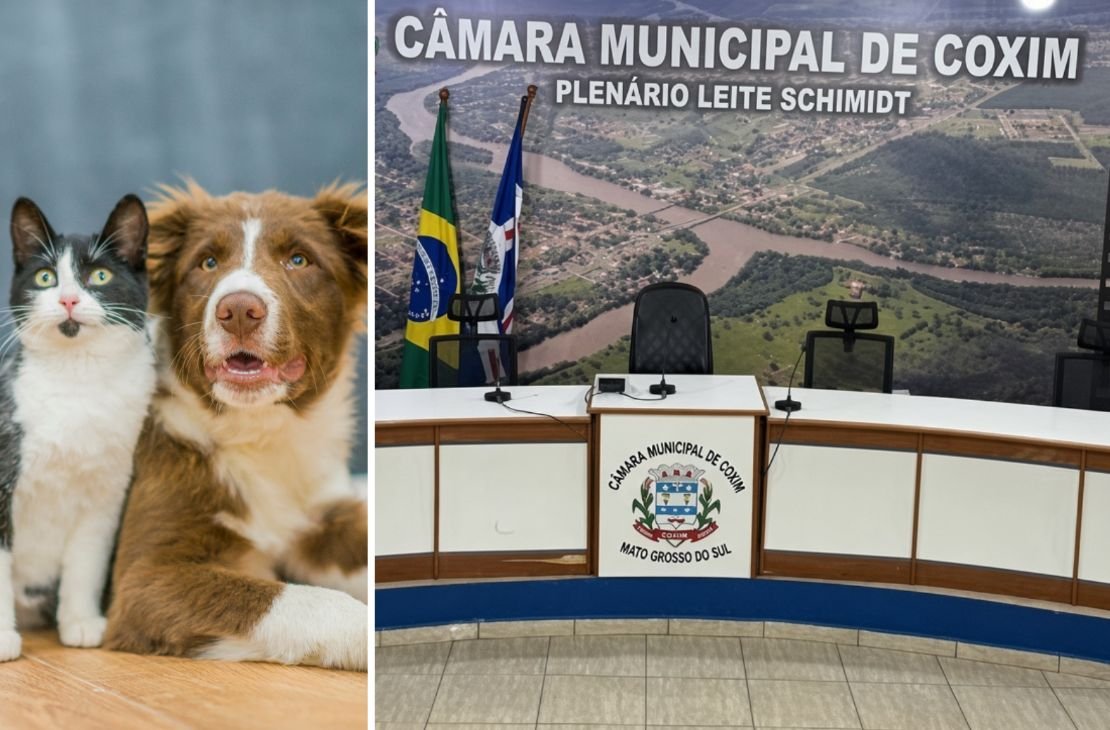 Câmara de Coxim aprova projeto que prevê bebedouros públicos para cães e gatos