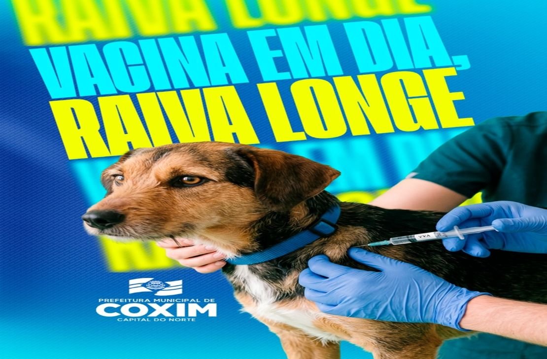 Campanha antirrábica em Coxim: vacinação de cães e gatos ocorre nos dias 19 e 26 de setembro